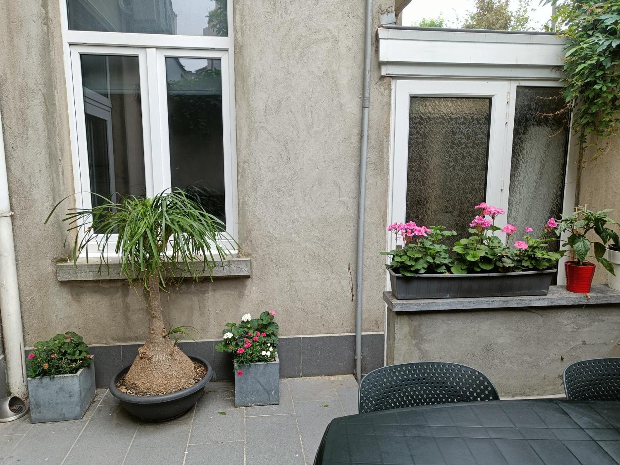 The Brussels-Laken Appartement Bagian luar foto